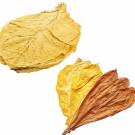 Tabak Rohtabak Tabakblätter Dekotabak 200g - 20kg und Probeangebot von Eurotabak